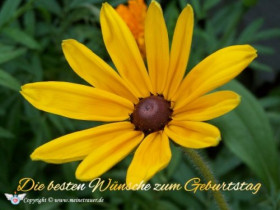 geburtstag-karte-012