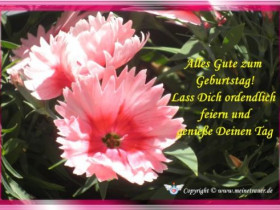 geburtstag-karte-023