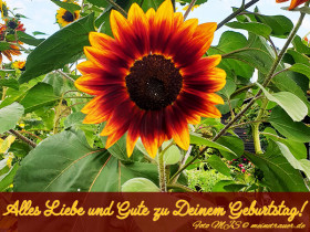 geburtstag-karte_0010_600x450