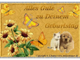 geburtstag-karte-004