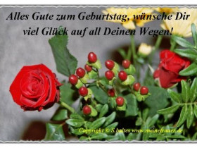 geburtstag-karte-017